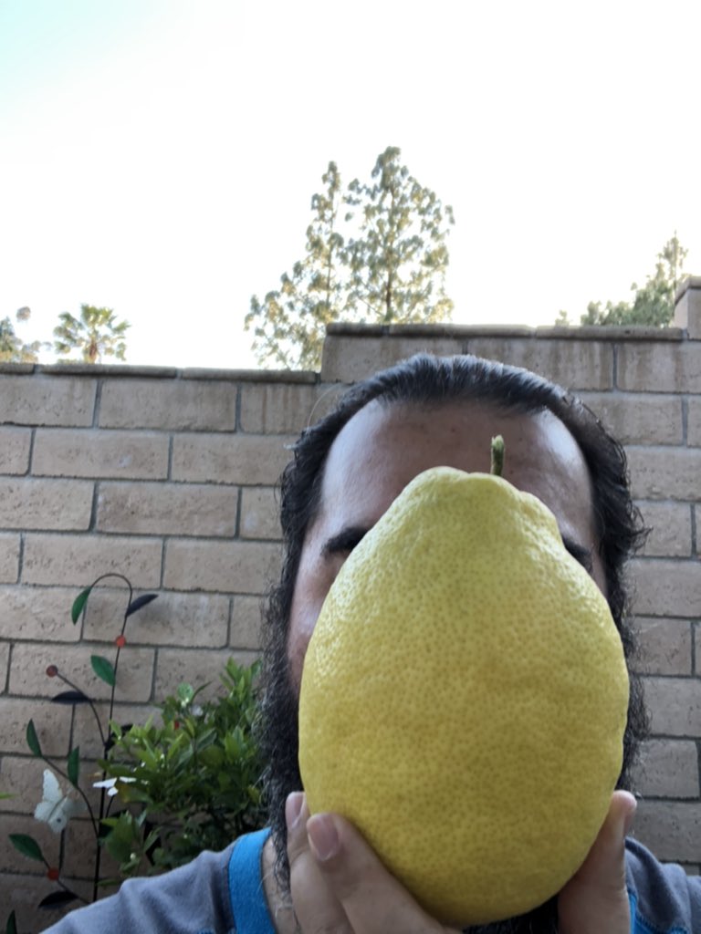 frankemundo's tweet photo. Look at this giant lemon from our tree. Time for another lemon bundt cake. Oh yeah! 🍋 https://t.co/tGLeKHmPIJ