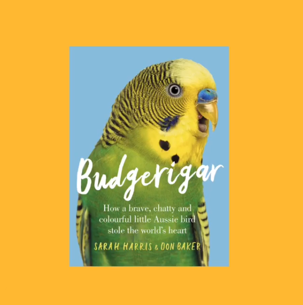 AllenAndUnwin's tweet photo. Catch Sarah Harris @budgerigarbook and Don Baker @DonBaker Sunday morning at 10:30am AEST on Zoom with @avidreader4101 to discuss their new book #Budgerigar!!
To register click here: https://t.co/WVZbCOmrBV https://t.co/FphpTMTuFV