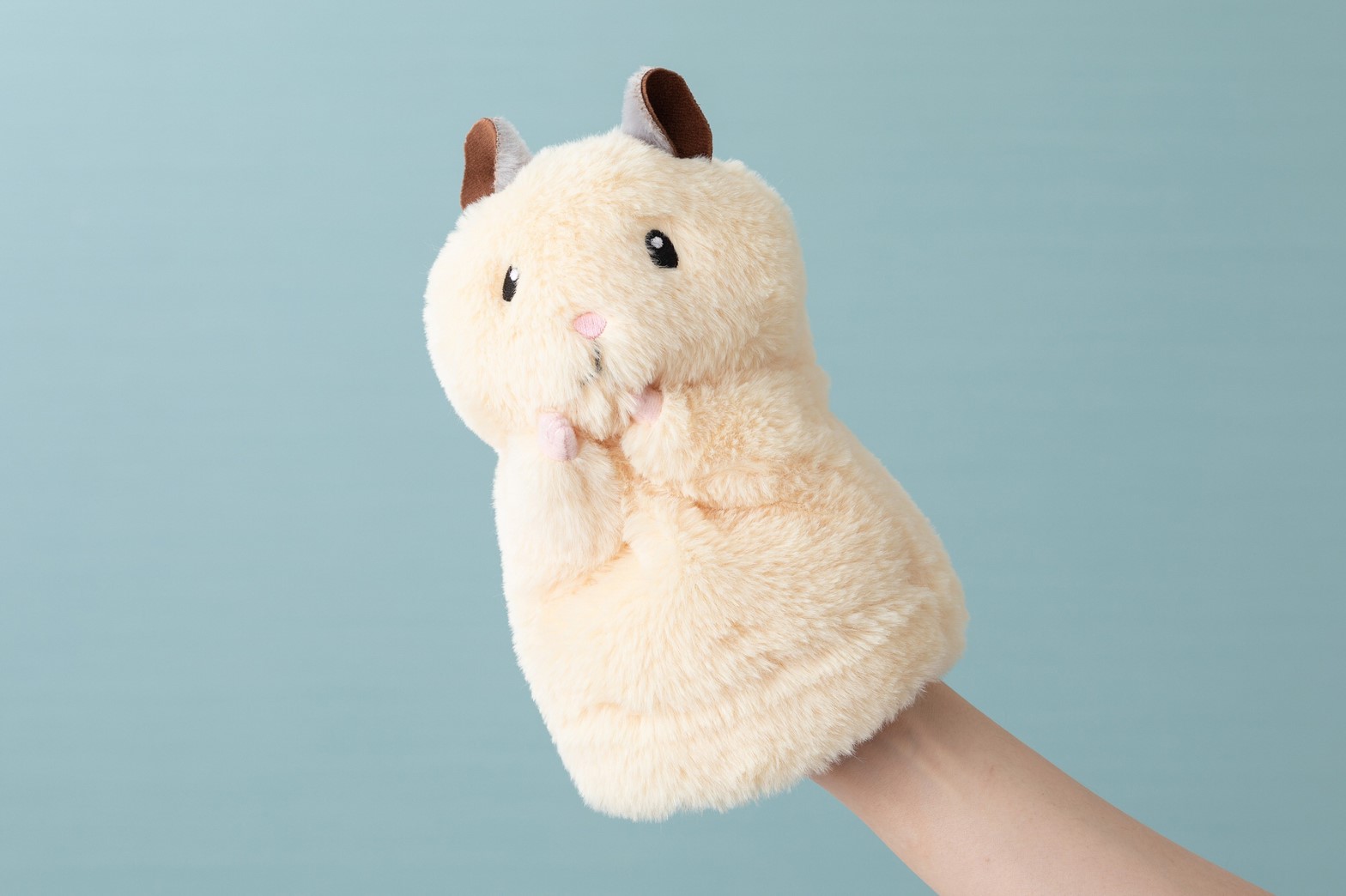 ハムスター助六の日常🌻ひまわり情報局【公式】 on X: ハムスター助六の日常🌻ひまわり情報局【公式】 on X: