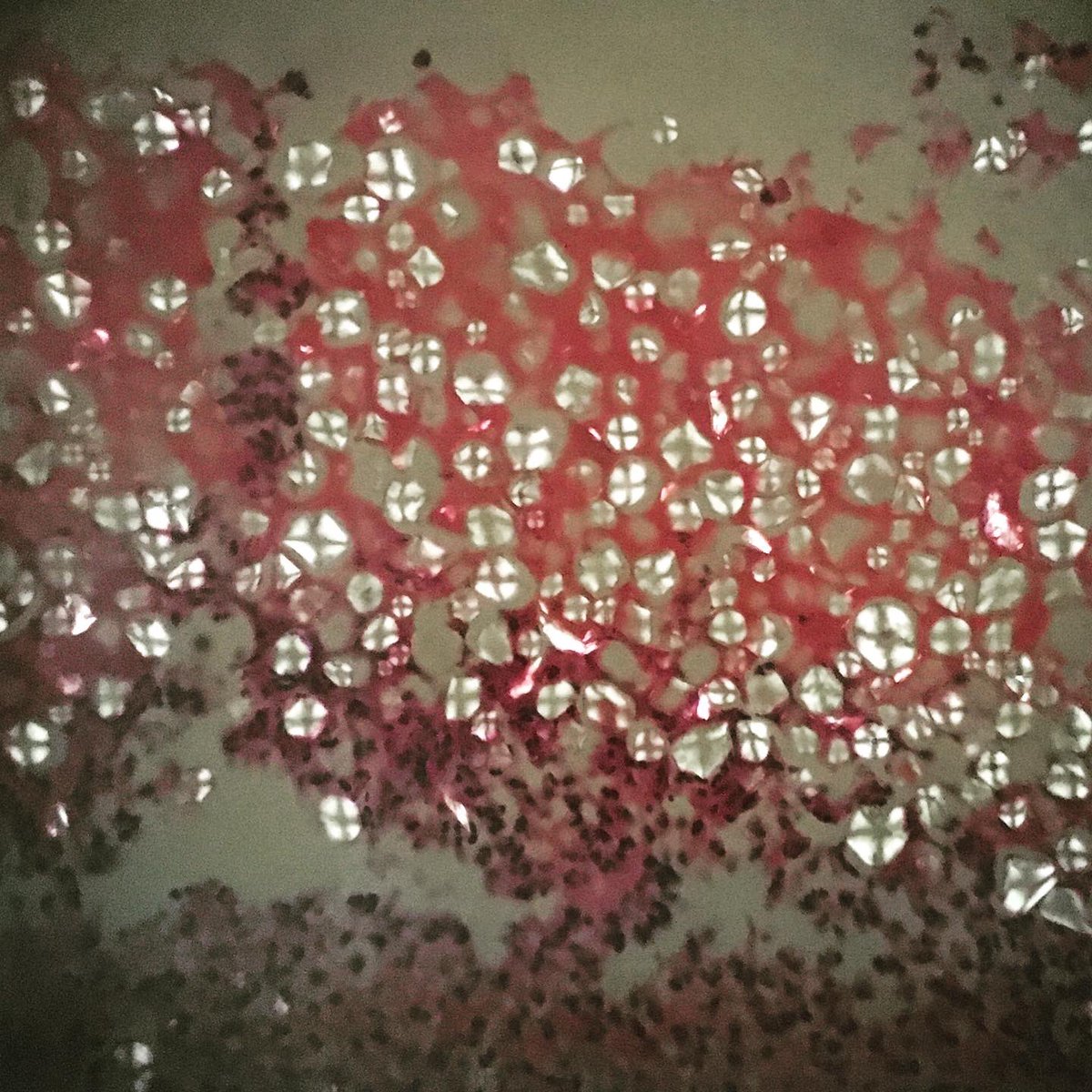 Sara Shalin tweet media