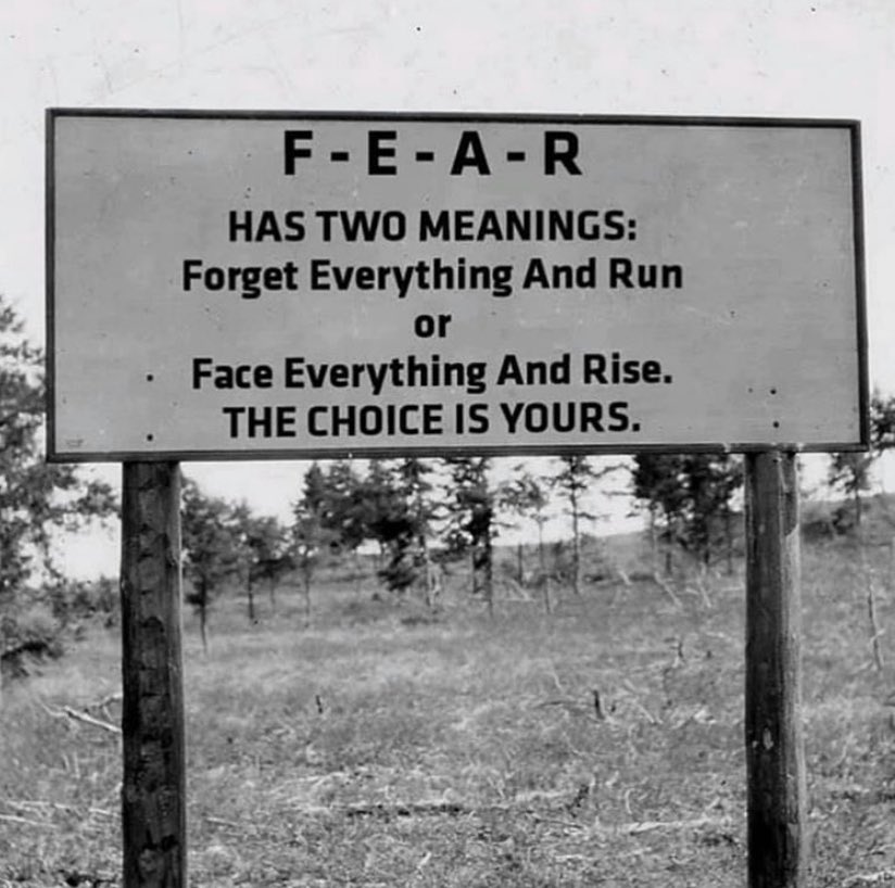 There’s no doubt which one I would choose