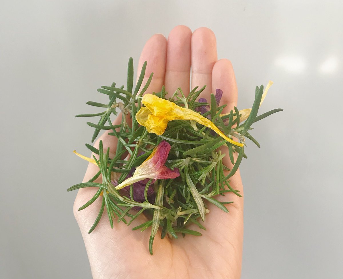 Mabataki美雨 フリージアのお花は スワッグなどのドライフラワーにするのには 手間をかける必要があるのですが 茎のないお花の部分だけなら 簡単にドライになります アロマを垂らして ジップロックなどで香りづけして小皿に盛っても良い香りを楽しめ