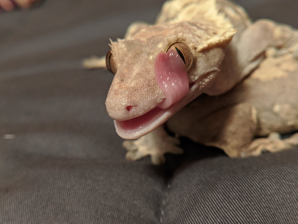 correlophys's tweet image. He's so perfect 😭😭😭❤️❤️❤️