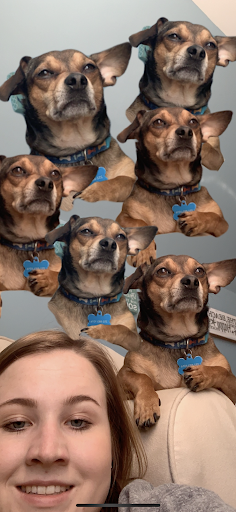 nerfclowns's tweet photo. Cassidy aka the hulahooper
-In a toxic but loving relationship with her dog
-Way too into animals 
-Has a suspicious amount of frog pictures 
-Will Bang™
-Threat Level: -2/10 (asthma) https://t.co/mVQWS6dXnq