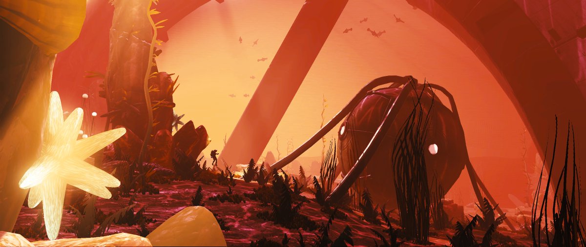 Silu_et's tweet photo. "The Forgotten" - crashed freighter on the ocean floor.
#NoMansSky
@NoMansPics
@NoMansSmile
@_GameScreenshot
#ScreenshotAddict #IStop4Screenshots https://t.co/TQzCvl9o81