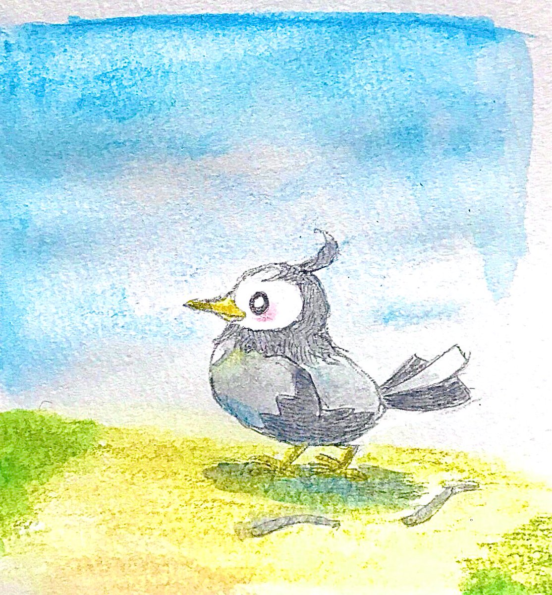 O Xrhsths そら太 ろすと Sto Twitter 正解はムクドリ ムックルでした ゲームの声も若干似せて作ってる感じです こだわりのポケモン ポッポは名前は鳩ぽっぽ 進化後は鳩 初期ドットは雀感があるので見た目は雀だと思われる マメパト 鳩 オニスズメ 雀