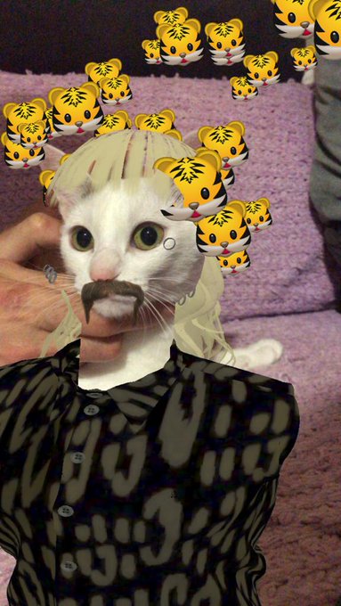 My cat is the real Joe Exotic. Don't let no one tell u she's not. https://t.co/bgioTG5YhB