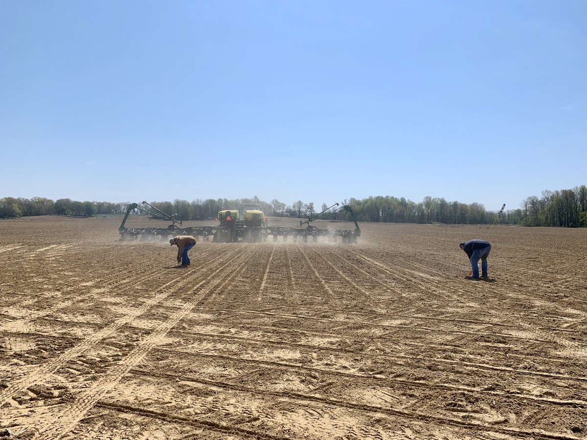 Agronomist_Whit's tweet image. High speed @ChannelSeed 🌽🌱 corn planting today w/ @bdwagr, @dgreenwell2 and farmer Jonathan Royster! Today was Jonathan’s first plot EVER! Glad we could show him the ropes and even more excited to see the big yields this fall! 💪🏻 #plant20 #StillFarming