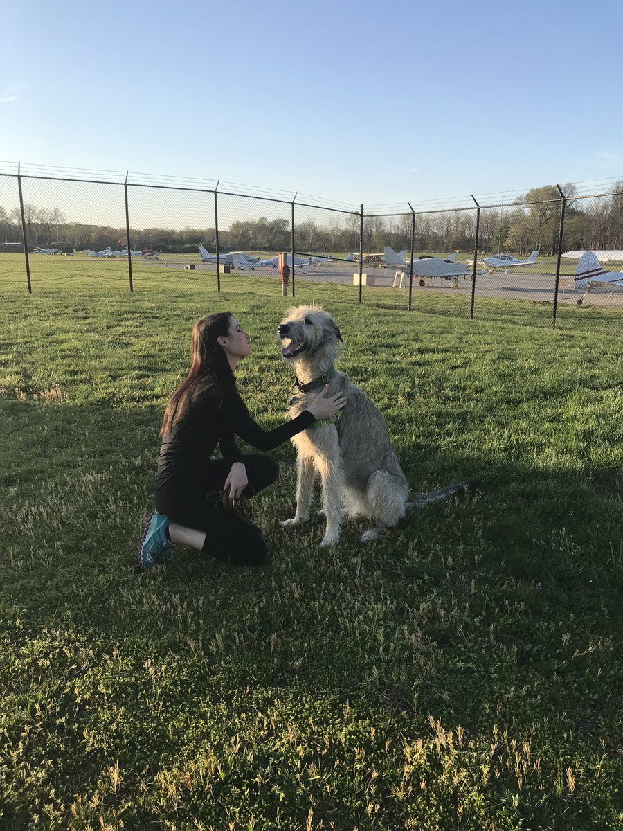 WildFireEvents's tweet image. Our #irishwolfhound turned 2! We took up to Gettysburg to pay respects the the fallen soldier and snap a few pictures in front of the Irish Brigade Memorial with the wolfhound and Celtic cross statue.