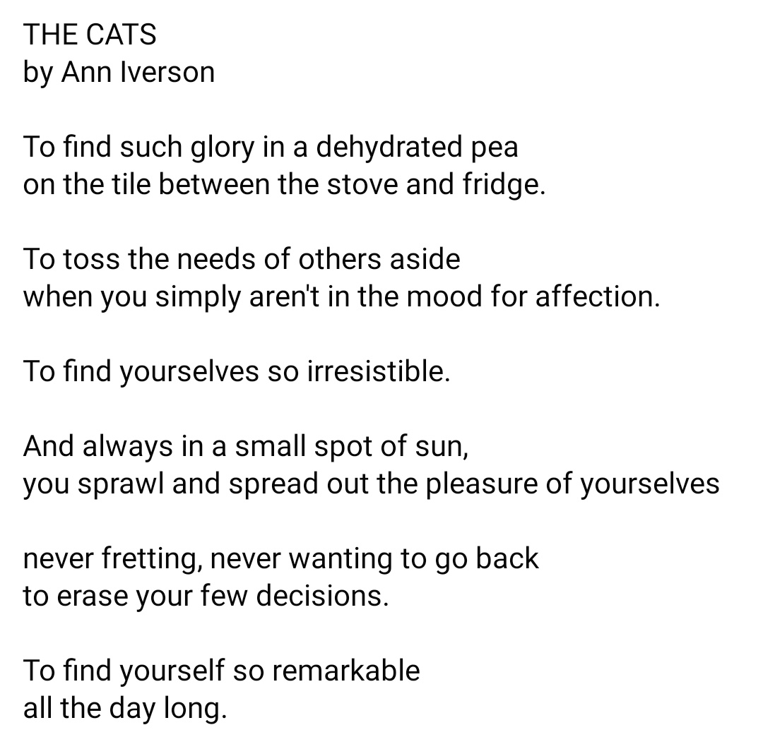 The poem of the day is about cats.Any maybe more than cats? @nilanjanaroy  @devangshudatta