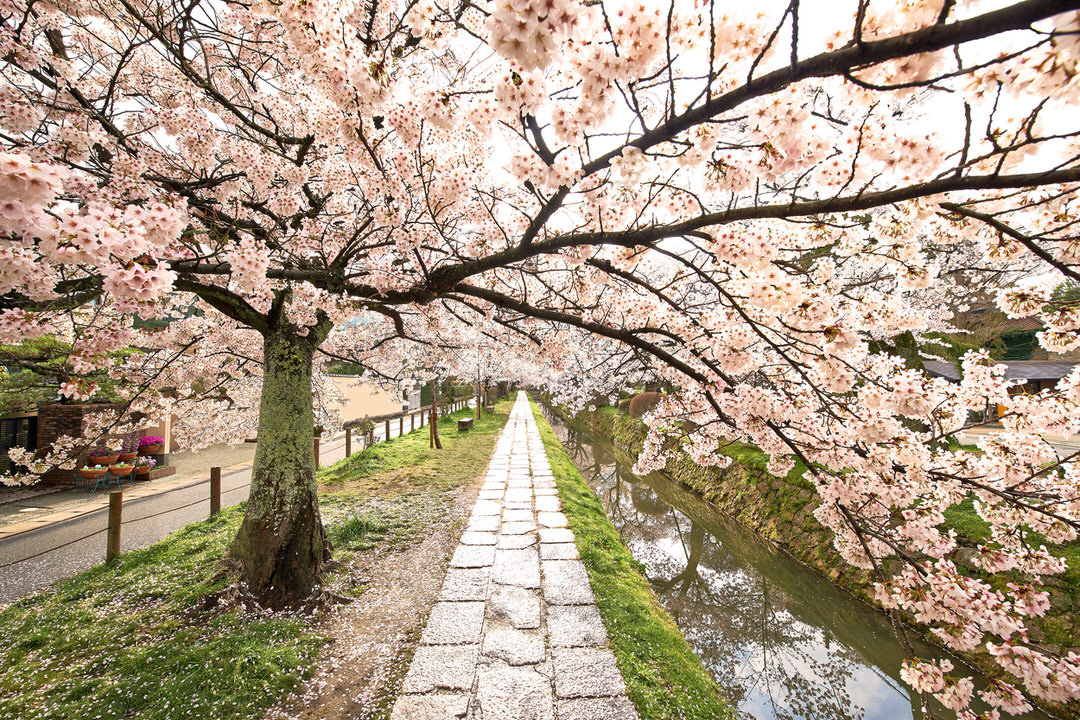 K Sharad Haksar tweet media