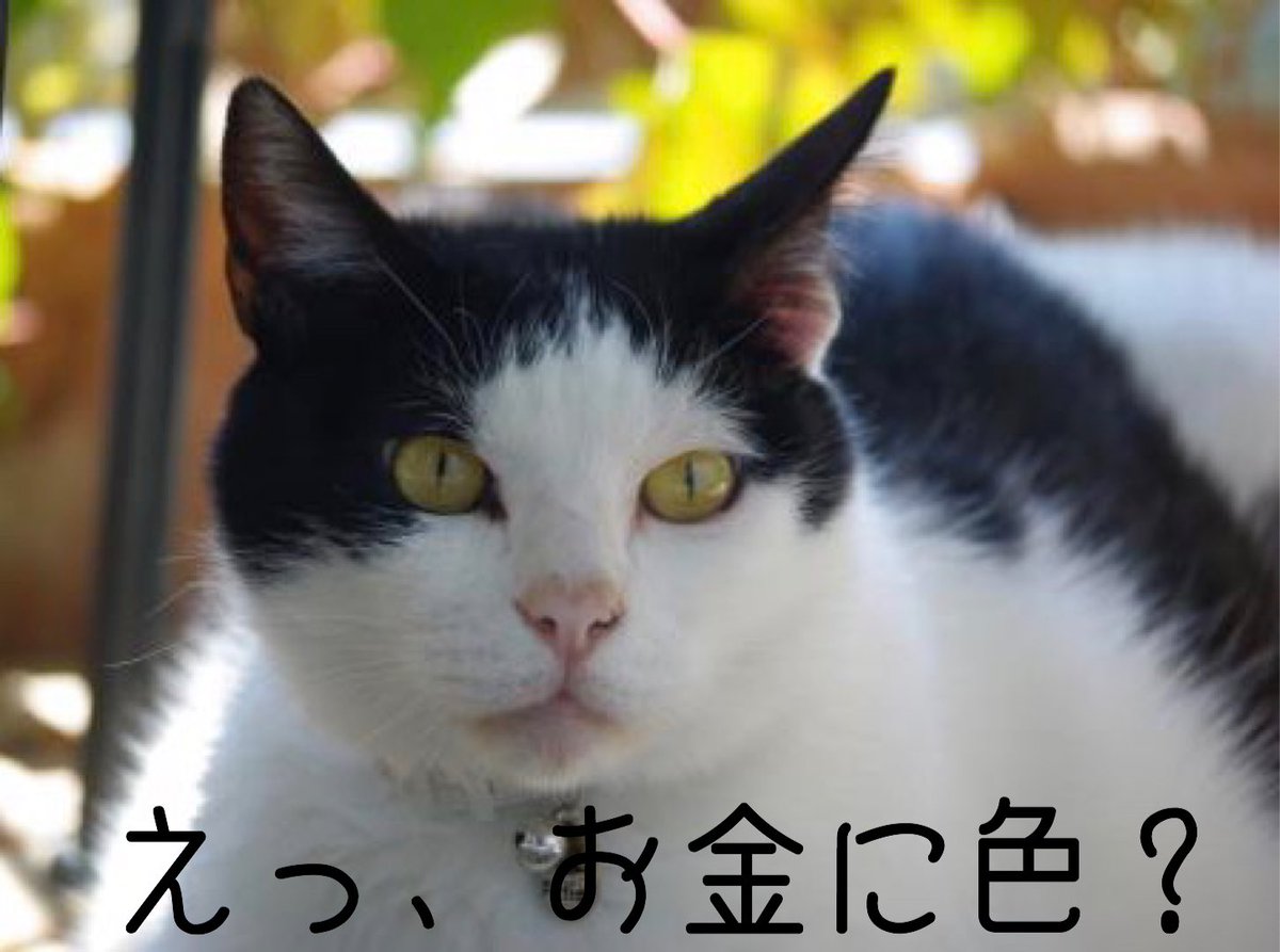 柴田光太郎 柴田光太郎