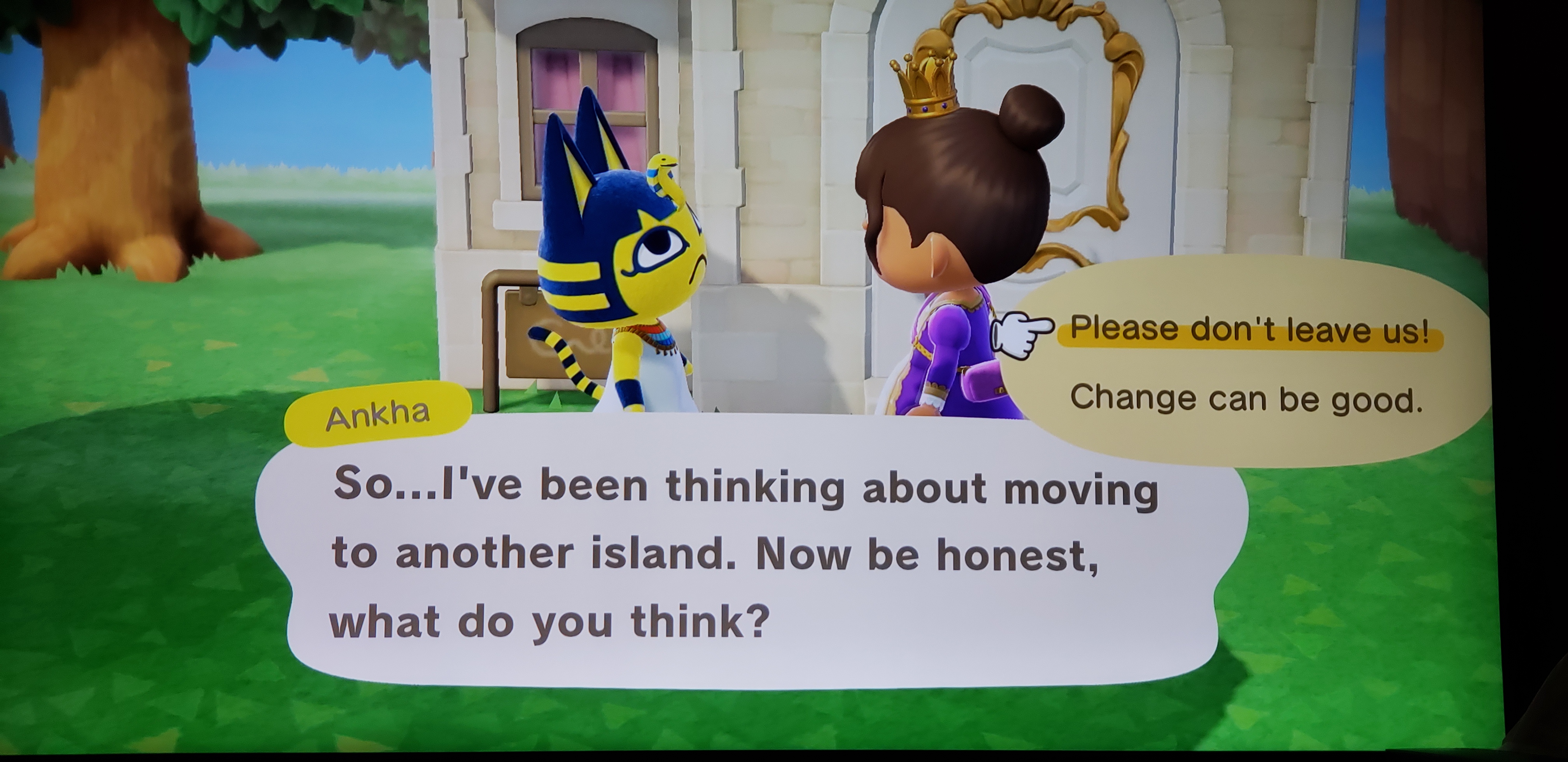 ankha animal crossing full video reddit