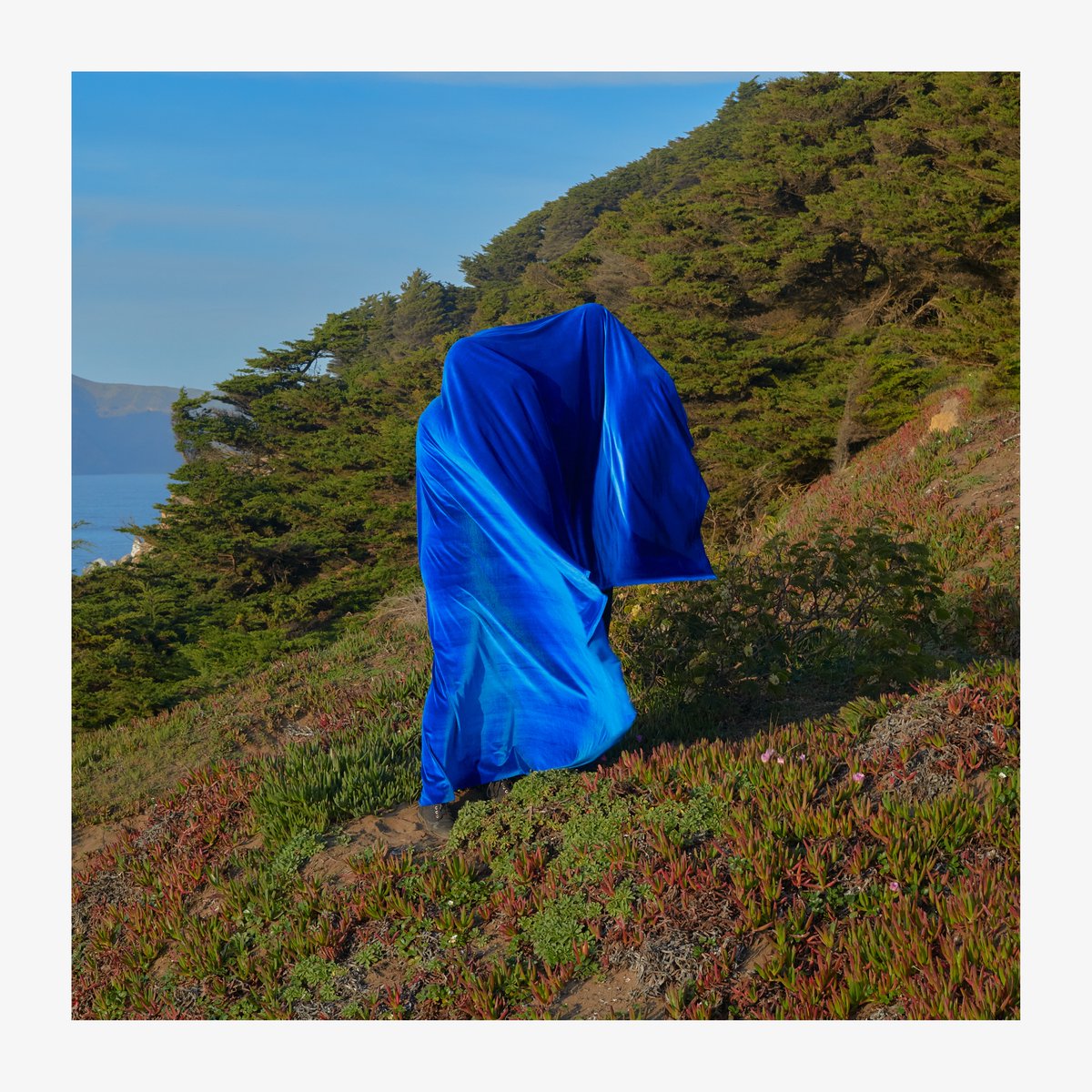 I'm so excited to finally share my second full length album, The Good Grief!!!!!!!!!!!!!!!!!!!!

Listen here: alsoalsoalso.bandcamp.com/album/the-good…