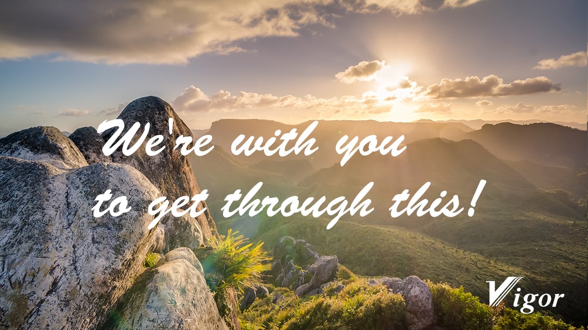 Vigor Tech USA tweet media