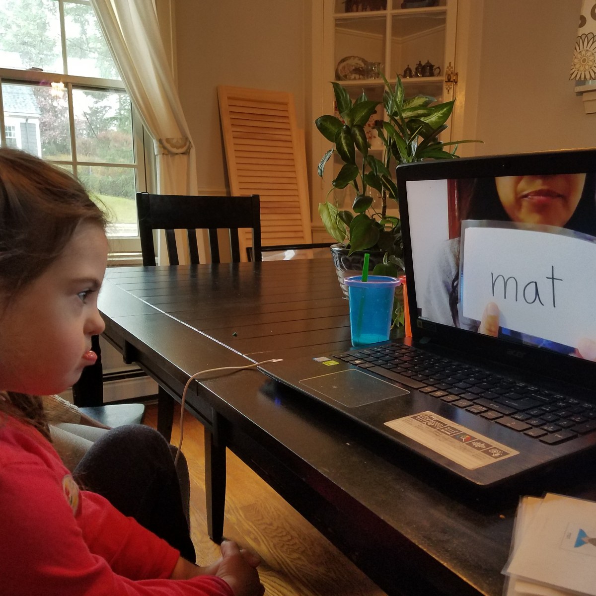 Tips on Online Meetings and Therapies for Preschoolers with Down Syndrome During Social Distancing dlvr.it/RTwW3B