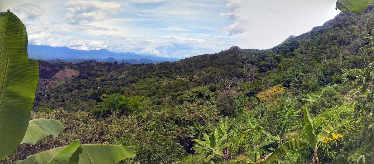 Daniel Serrano tweet media