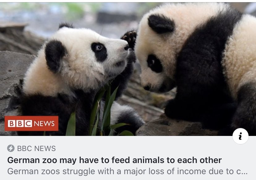 We must look at this old fashioned concept were animals are imprisoned products only valued by profit or loss. Zoos are companies people tend to forget that. bbc.com/news/world-eur… #zoo #opzoo #vaccine #CoronaCrisis #COVID19NL #StayAtHome #Corona #CoronavirusPandemic