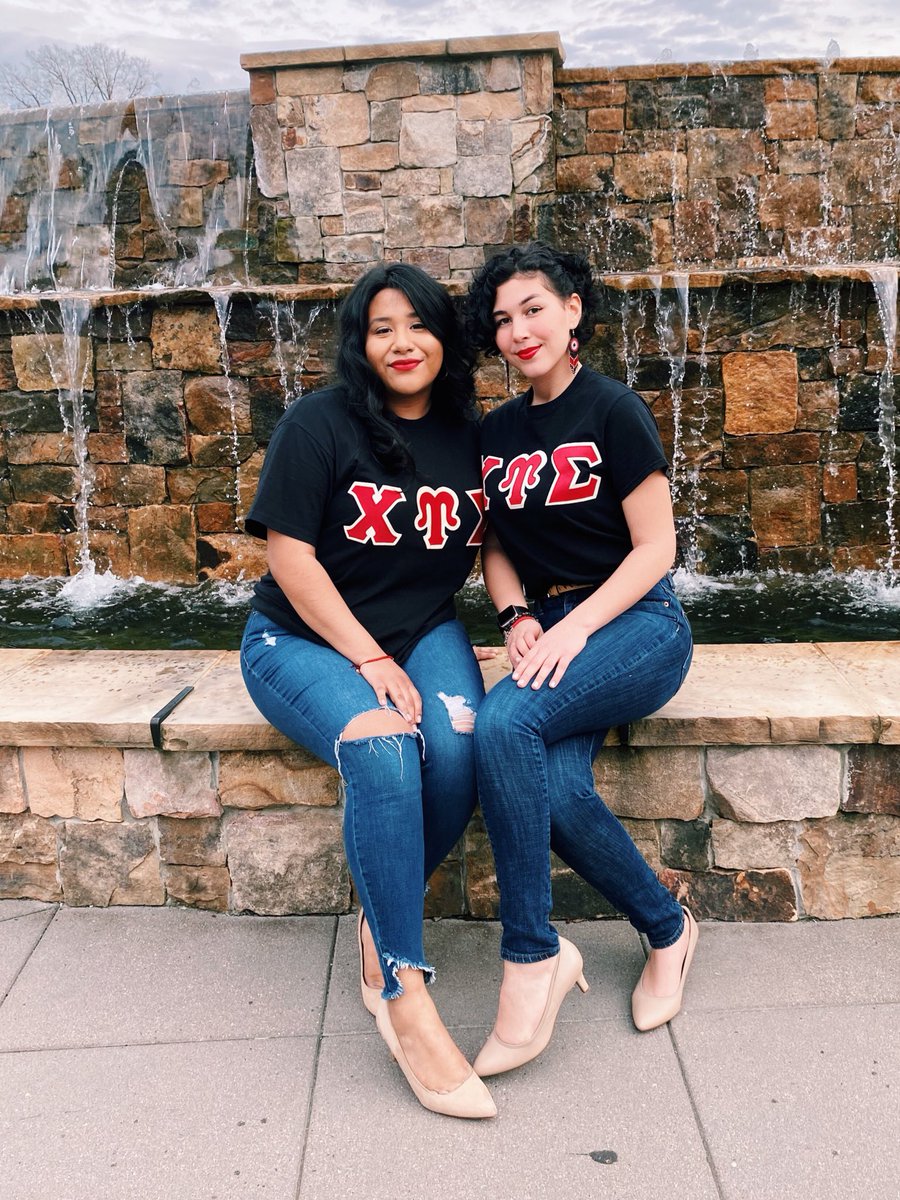 The Alpha Lambda Chapter Cussies tweet media