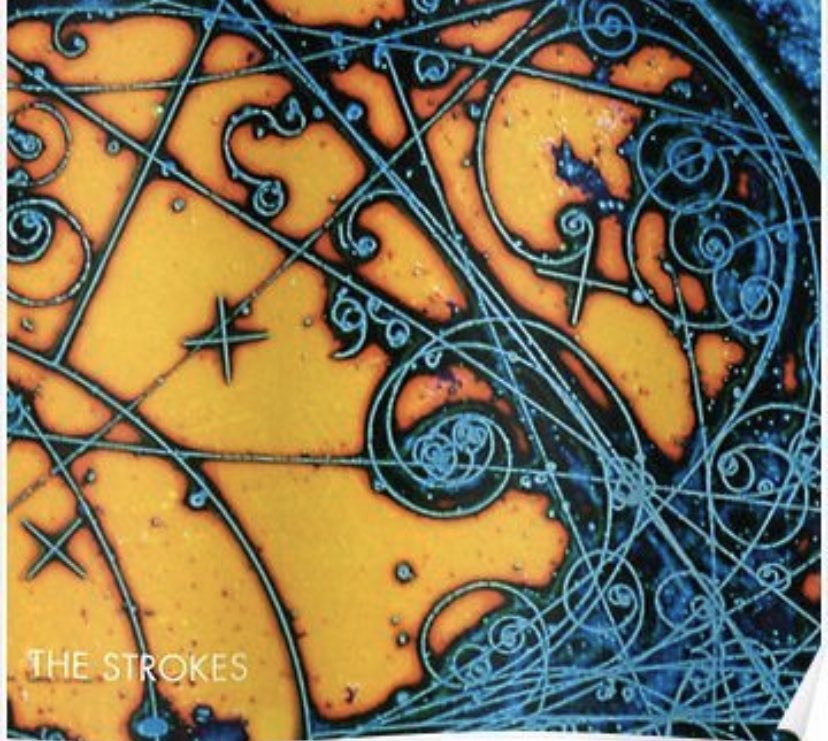 Teddy Plante tweet media