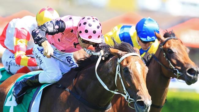 winningedgebets's tweet image. As the Sydney Autumn Carnival comes to a close where giving you the chance to score a free monthly subscription to a #WinningEdge service of your choice if you can tip the Champagne &amp;amp; All Aged Stakes winners.

Simply like &amp;amp; RT this post + comment with your tips.