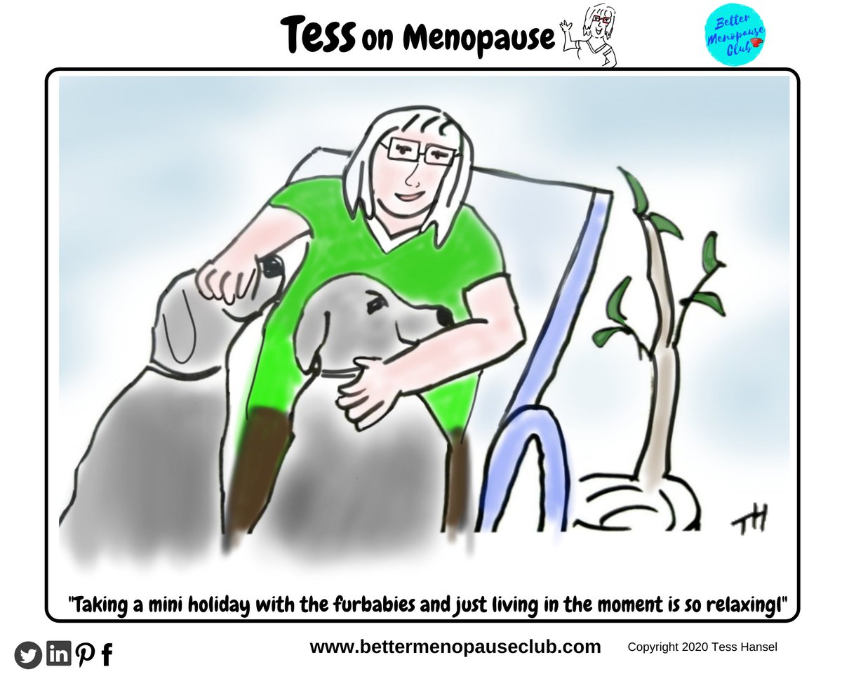 bettermenopause's tweet photo. https://t.co/Cz4sacKwJT