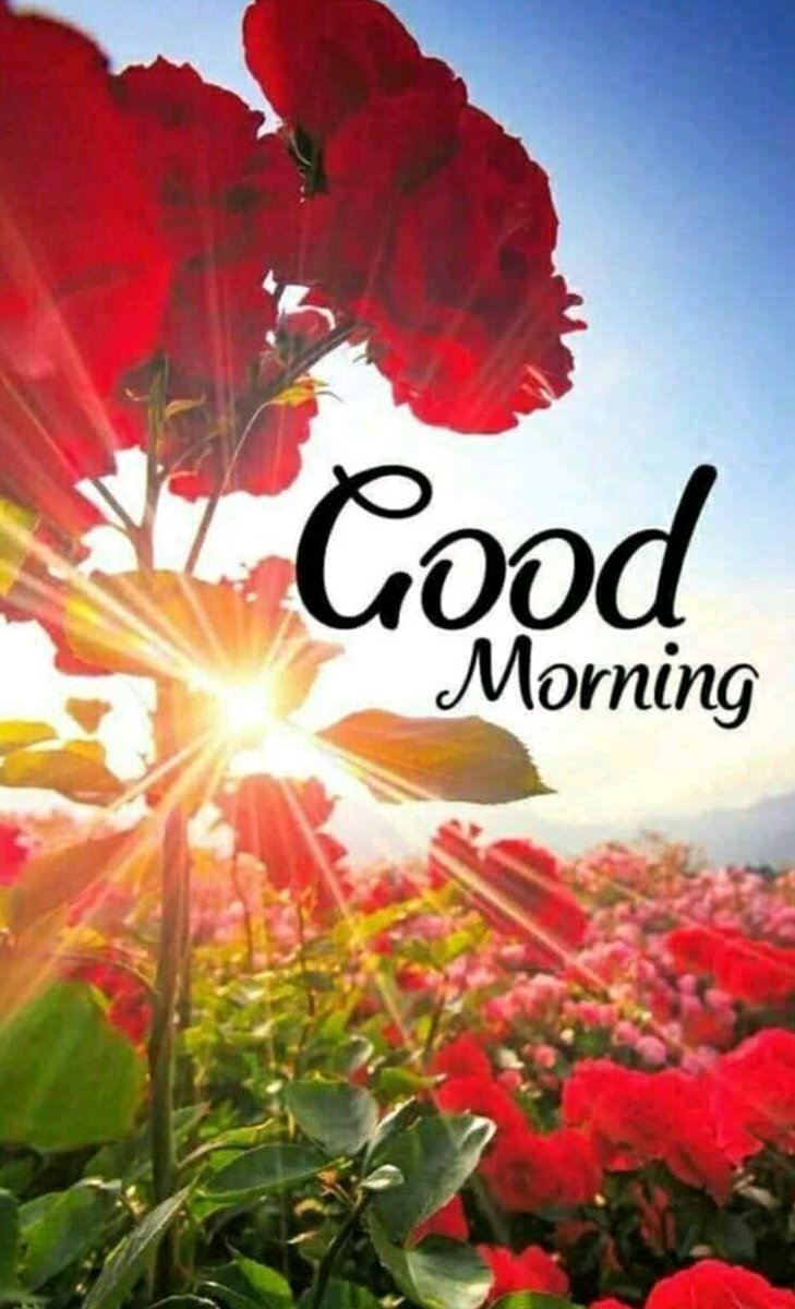 To54442170's tweet photo. #GoodMorningTwitterWorld 
#17aprile https://t.co/E6wFNLy7Xs