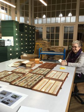 Herbarium Manchester tweet media