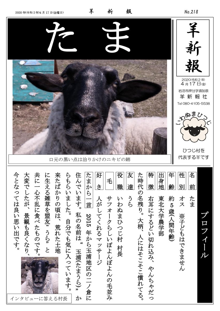 岩沼の羊飼い Pa Twitter 羊新報 今週も金曜日 羊新報の配信です ひつじ村の羊のことをより知ってほしい このシリーズは不定期で続くかも いわぬまひつじ 羊新報