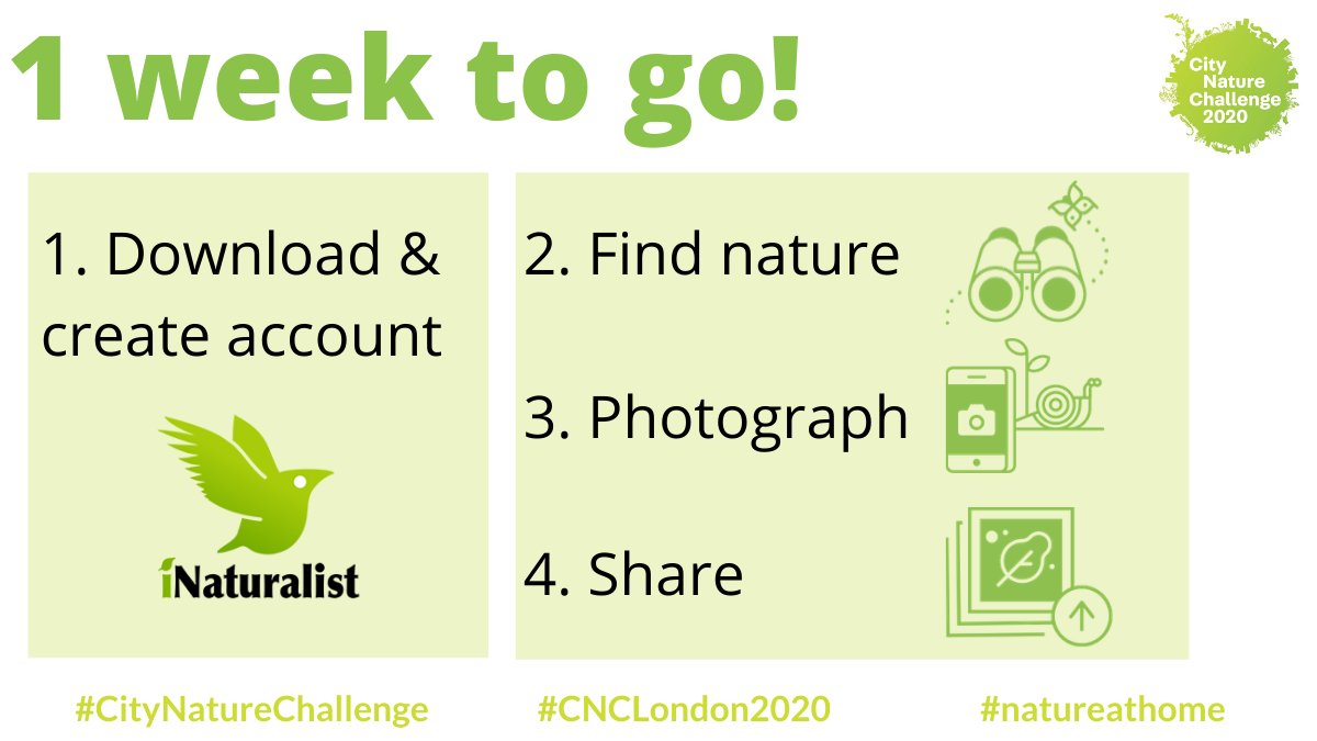 Community Science at the Natural History Museum (@nhm_citsci) on Twitter photo Are you ready for #CityNatureChallenge? Download the <a href="/inaturalist/">iNaturalist</a> app & practice how to use it to identify #NatureAtHome ready for #CNCLondon2020 on 24 April! <a href="/BioBlitzUK/">National BioBlitz Network</a> has a guide to help: ow.ly/HdAe50zfZK9 Are you ready for #CityNatureChallenge? Download the <a href="/inaturalist/">iNaturalist</a> app & practice how to use it to identify #NatureAtHome ready for #CNCLondon2020 on 24 April! <a href="/BioBlitzUK/">National BioBlitz Network</a> has a guide to help: ow.ly/HdAe50zfZK9