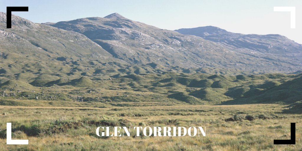 BGSEarthwise tweet media