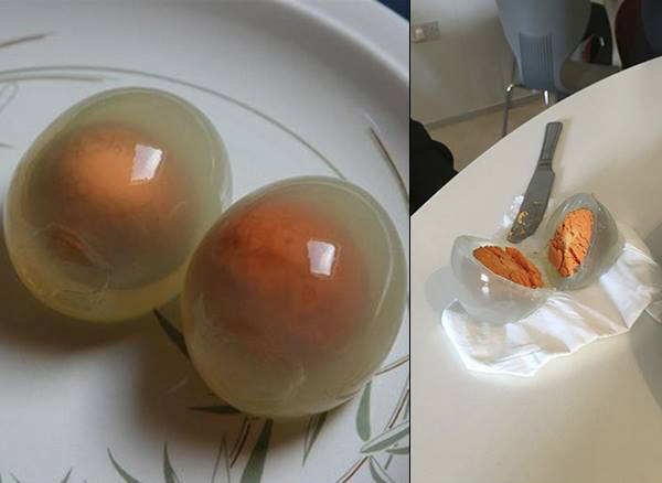scotpenetwork's tweet photo. Let's liven things up with a little #FridayFun - share your favourite science fact with us! Here's one to start you off: penguin eggs are clear when hard-boiled thanks to a high concentration of penalbumin - a protein thought to act like antifreeze to keep eggs from freezing! https://t.co/3jKsk32ef9
