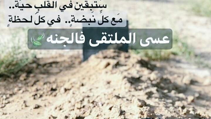 اللهم في يوم الجمعه أنِر قبر أمي وإجعل ملائكة الرحمه تطوف عليها من كل جانب , اللهُم ارحمها في باطن الأرض و استرها يوم العرض , يارب أنت خلقتها و أنت أخذتها و أنت الرحيم فليس غيرك ارحم بها , ف يارب اجبر هذا الكسر ب لقاء ف الجنة ..