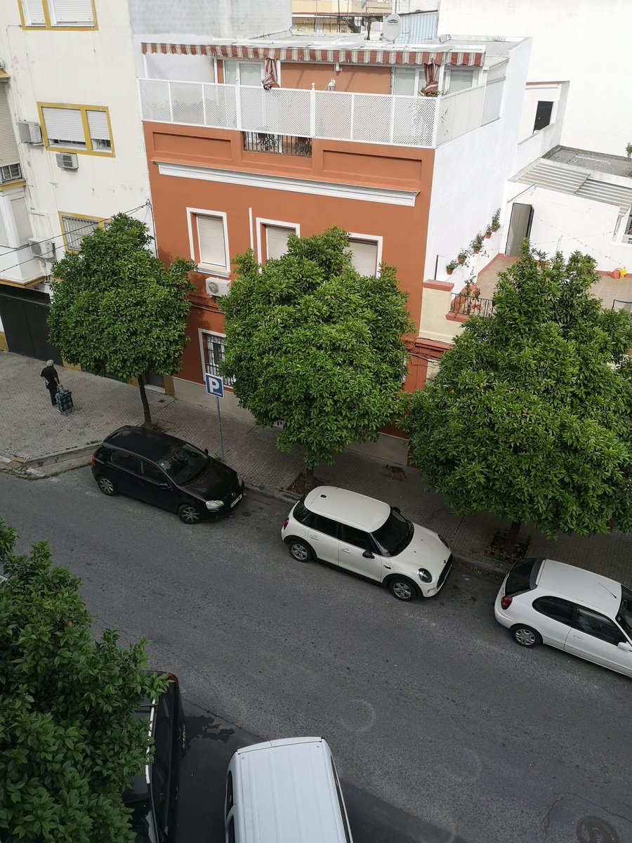 Yo_brida's tweet photo. Perro abandonado, c/ Juan de Ledesma, cerca del Mercadona de la Av Hytassa #Sevilla Lleva dos collares, el antiparasitarios blanco. Una vecina se lo va a llevar a casa, dañado de una de las patitas traseras @Ayto_Sevilla  @PACMA @fund_ochotumbao https://t.co/uMneiNxGx6