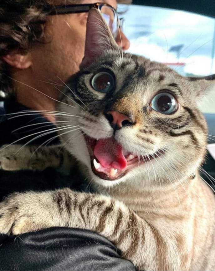 Sensor Health tweet media