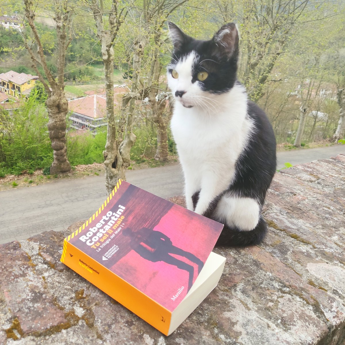 Un thriller da non perdere? Eccolo: Tu sei il male di @RobertoCostantini edito da <a href="/MarsilioEditori/">Marsilio Editori</a> . Sul blog la mia recensione completa. desperatebookswife.blogspot.com/2020/04/recens…