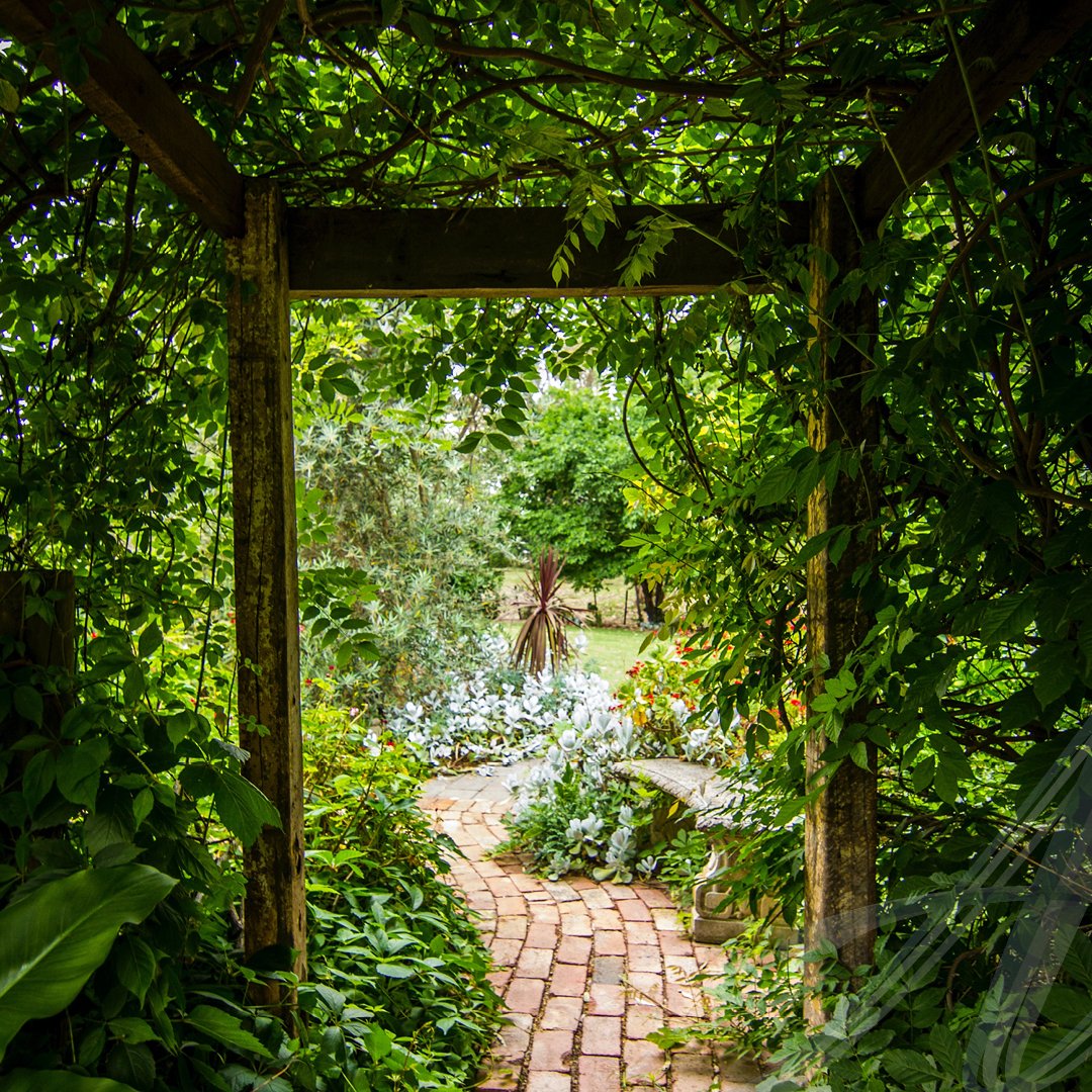 Use awe on purpose

Most of us can’t help but admire a breathe-taking scene or the miracle of changing seasons. 

Awe can be found in the little things - the birds, bees and sunshine itself, as well as walks outside the yard or indoors.

#AmaniSpa