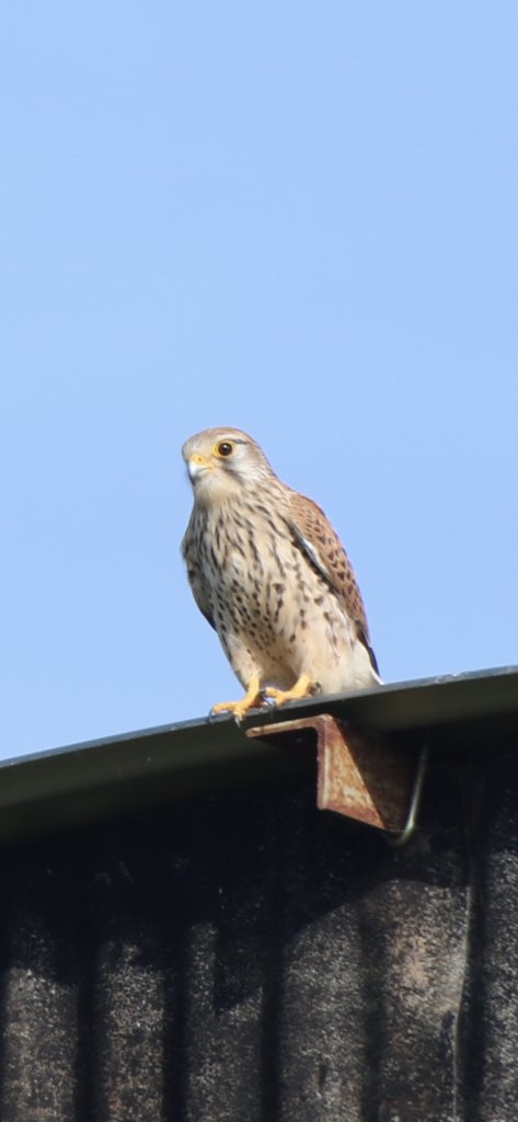 The Organic FarmShop tweet media