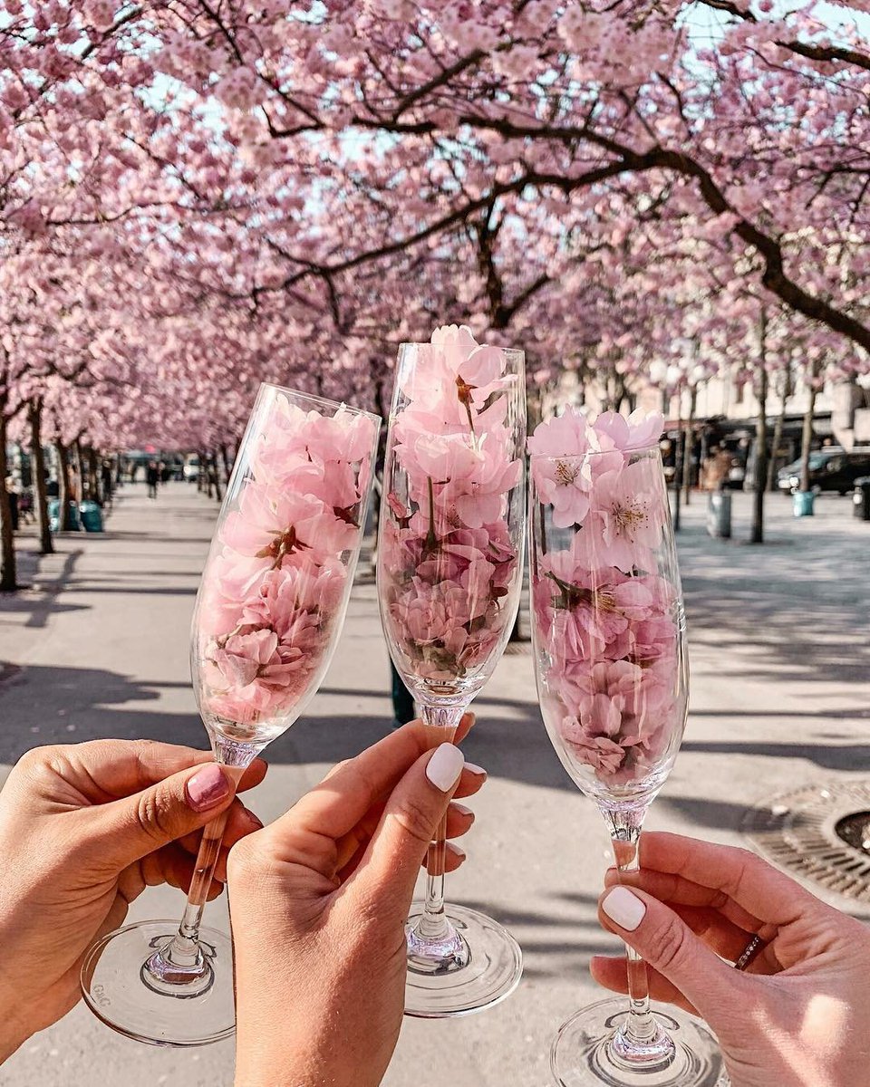 YTPoelman's tweet photo. 𝐶ℎ𝑒𝑒𝑟𝑠 , 𝑖𝑡’𝑠 𝑓𝑖𝑛𝑎𝑙𝑙𝑦 𝐹𝑟𝑖𝑑𝑎𝑦 🥂
 🌸𝐵𝑦 _𝑀𝑖𝑠𝑠_𝑀𝑎𝑙𝑒𝑓𝑖𝑐𝑖𝑒𝑛𝑡_
📸  https://t.co/nNAOBojQf4 https://t.co/wt5cBkH3Cu