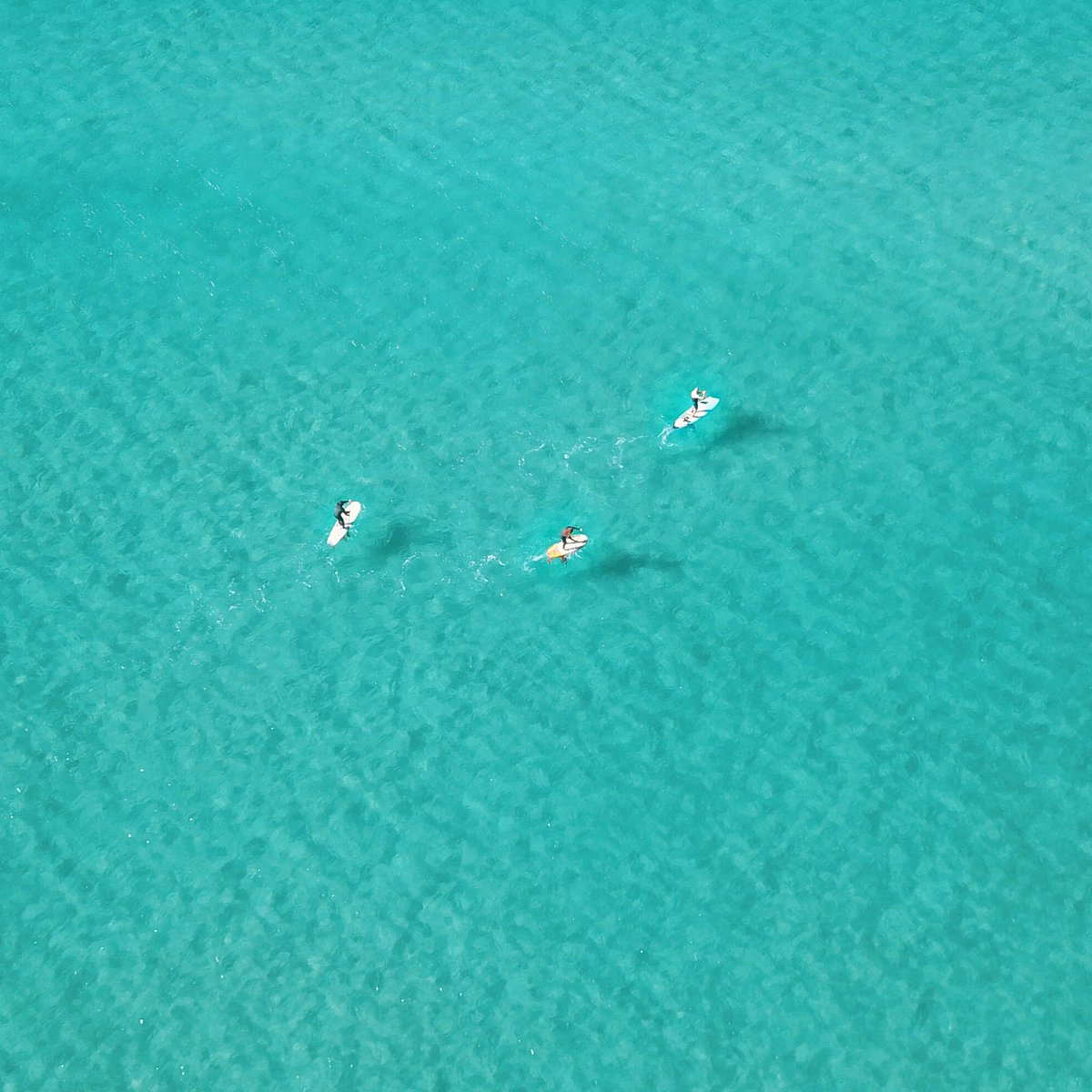 bilencekic's tweet photo. @DJIGlobal @benmack_ Australia of course 😎 i took all with Mavic Pro. https://t.co/nOjlOP6MaY