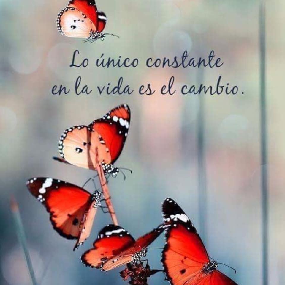 Lo único constante en la vida es el cambio., image size:960x958