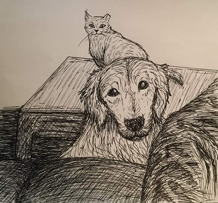 Some pen pet portraits by our Studio Art students who were drawing at home this week. @ChurchillPrin <a href="/wchsbulldog/">churchillhighschool</a>