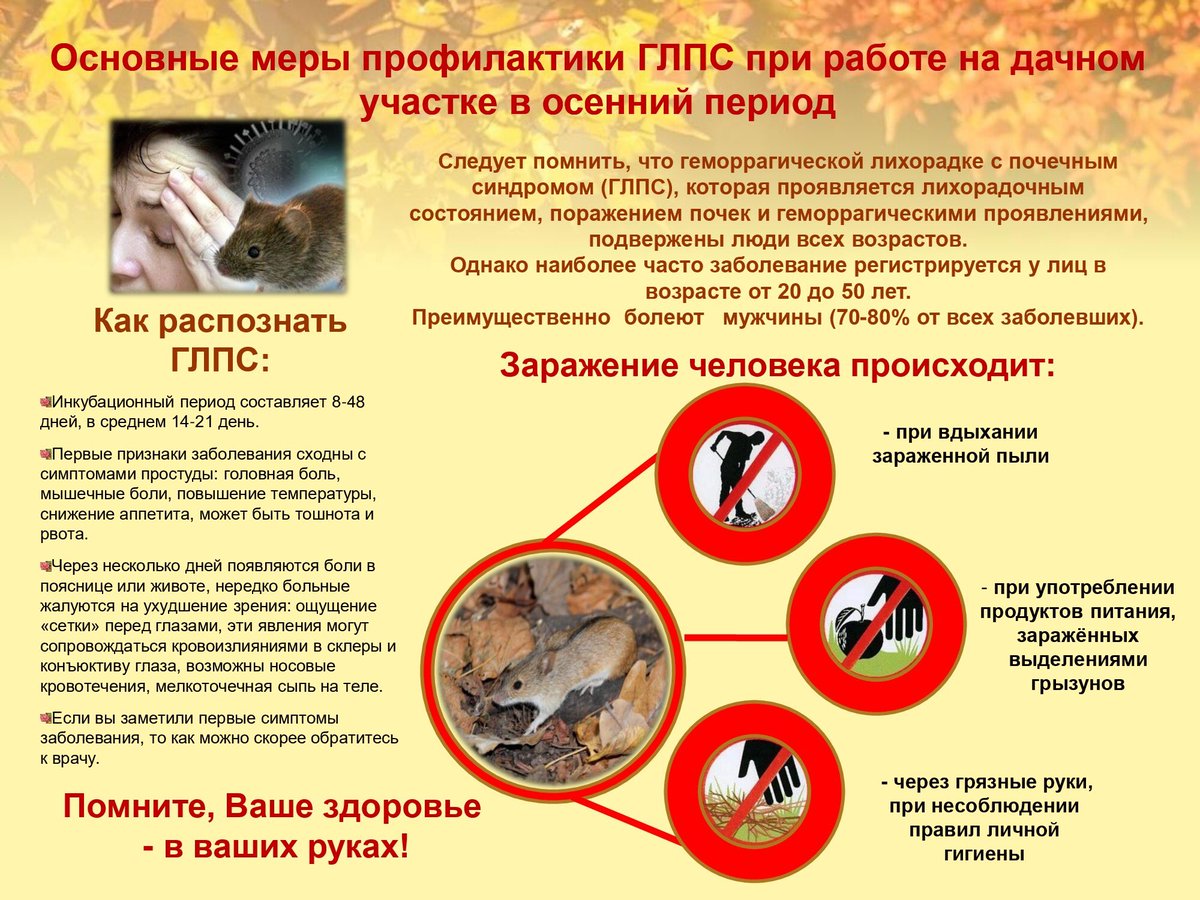 adm_Len's tweet photo. МЫШИНАЯ ЛИХОРАДКА: как не заразиться и защитить свой дом 🦠⠀
⠀
📈В России мышиной лихорадкой ежегодно заболевает около 7000 человек. Заражаются ей обычно на дачах и на природе — в лесу, поле, во время пикника. ⠀

https://t.co/aQaRTvCPDj https://t.co/MAgk3Kx4Fj