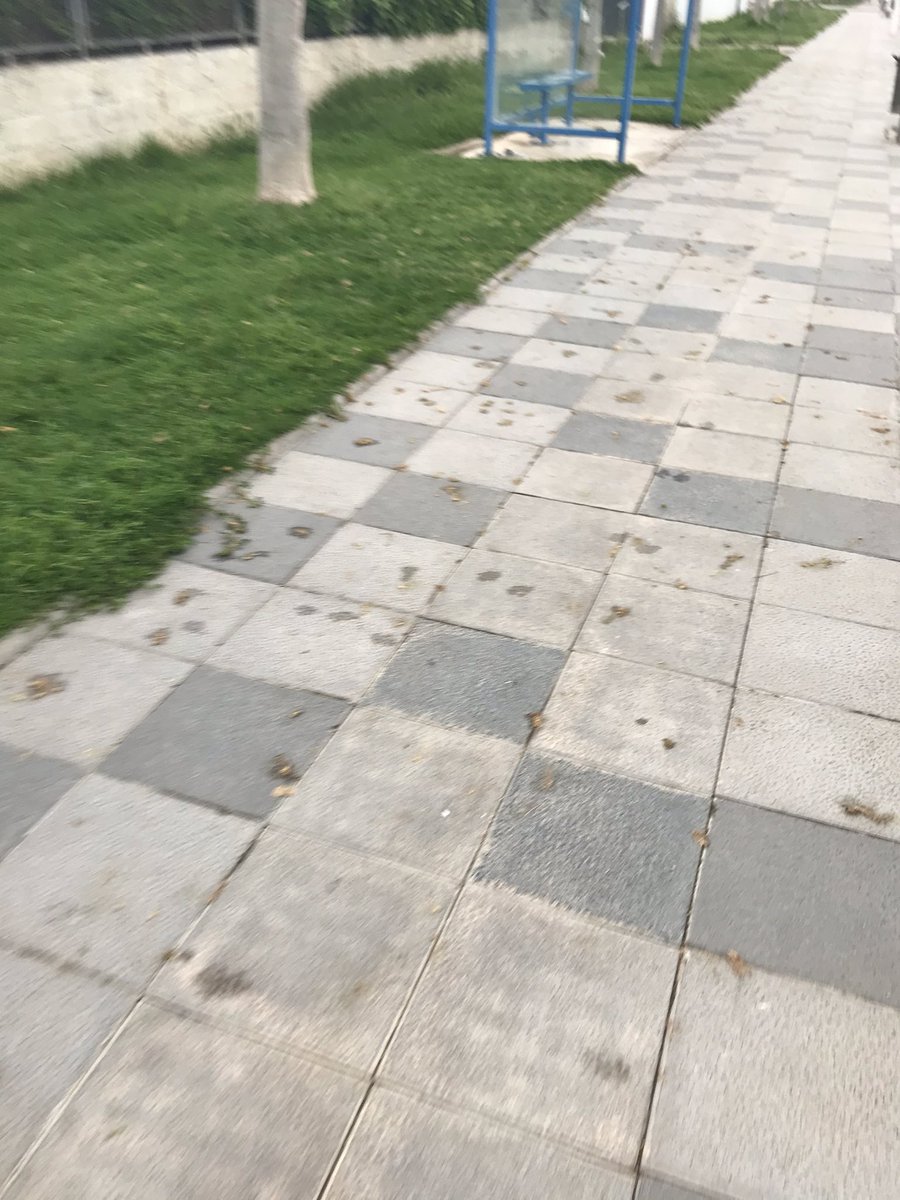 carlos_febrer's tweet photo. @Ajunt_Benicarlo @xaromiralles la limpieza está considerará una actividad esencial! La jardinería está permitida.
Blo siempre se ha caracterizado por su limpieza, que está pasando? Ahora más que nunca! https://t.co/WvFEivZHdR