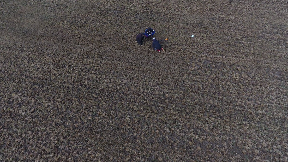 EllaAnu's tweet image. Monitor farm system discussion groups can't meet together at the moment, so we take pictures and videos before the meeting. During the discussion group meeting we "feel" the fields and group friends while looking at the videos and pictures #discussiongroups @ProAgria