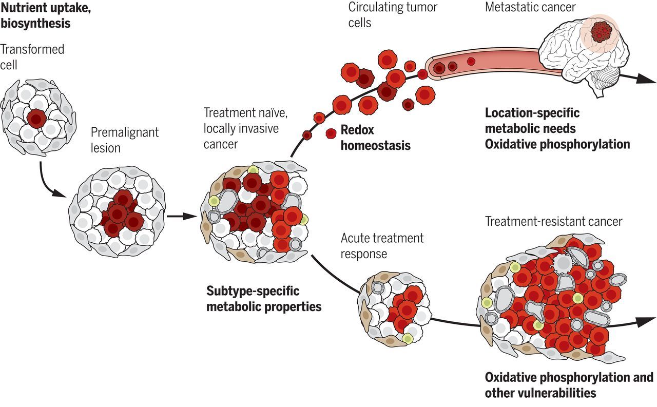 Personas que se han curado de cáncer con metástasis