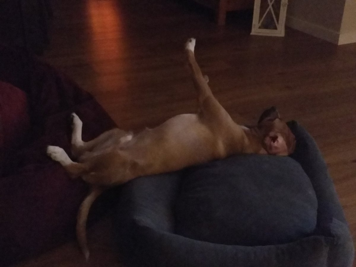 Buffmaster3's tweet image. STOP! HAMMERTIME!