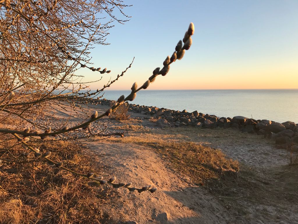Der Jahreszeitenwechsel lässt sich derzeit so wunderbar in kleinen Details beobachten aber oft nehmen wir uns nicht die Zeit zum Innehalten. Wer aber jeden Tag ein mal bewusst zur Ruhe kommt, der kommt mit Stress und Belastung besser zurecht. #mindfulnessnow #newexcellence