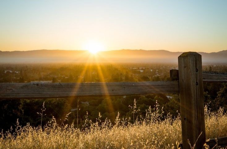 Ne getireceği belli olmayan güzel yarınlara...
#Günaydın