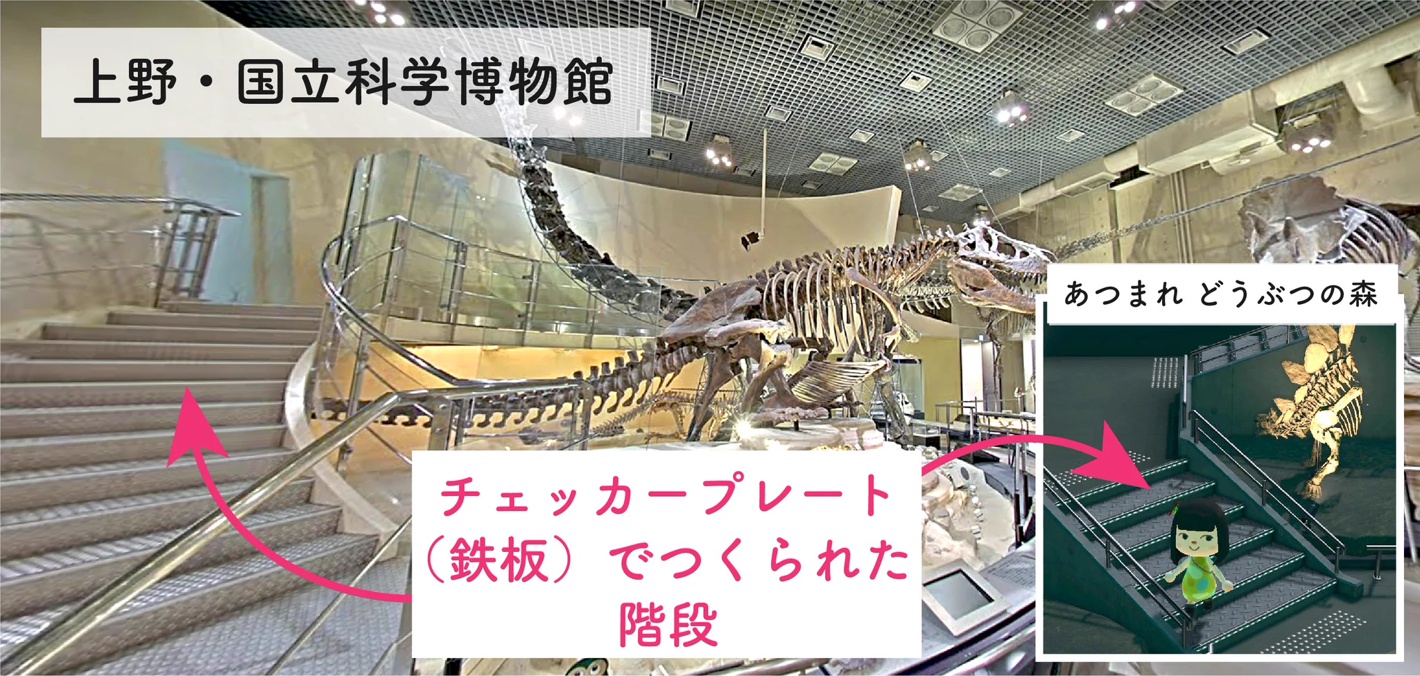 一級建築士が解説する？「あつまれ どうぶつの森」の博物館の凄いところwww